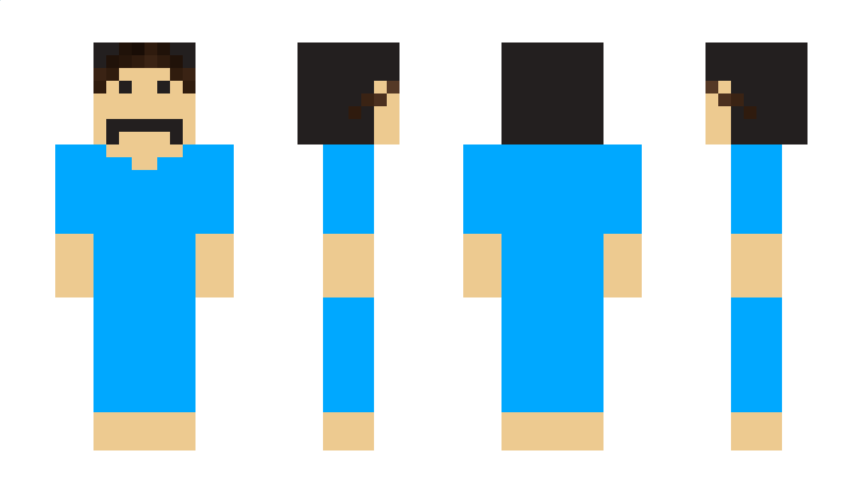 Gryfindor Minecraft Skin