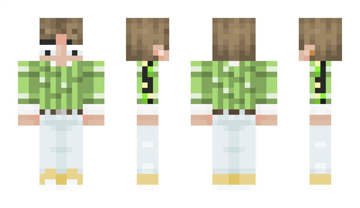 IwanVideos Minecraft Skin