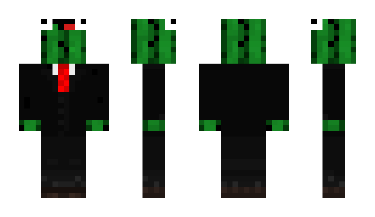 SirCactuz Minecraft Skin