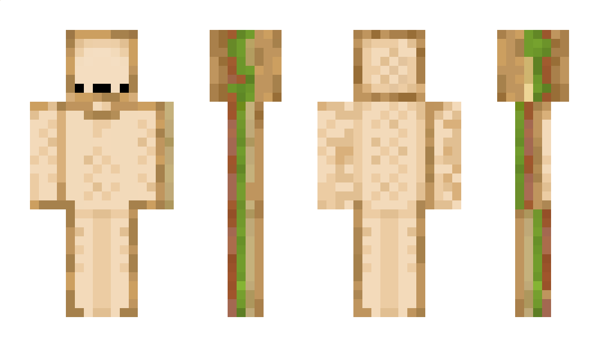 swagduds Minecraft Skin