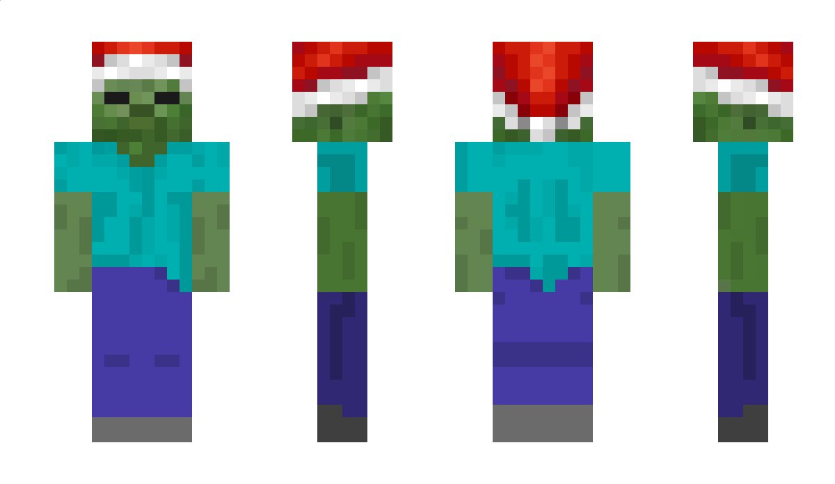 Zacianplays8 Minecraft Skin