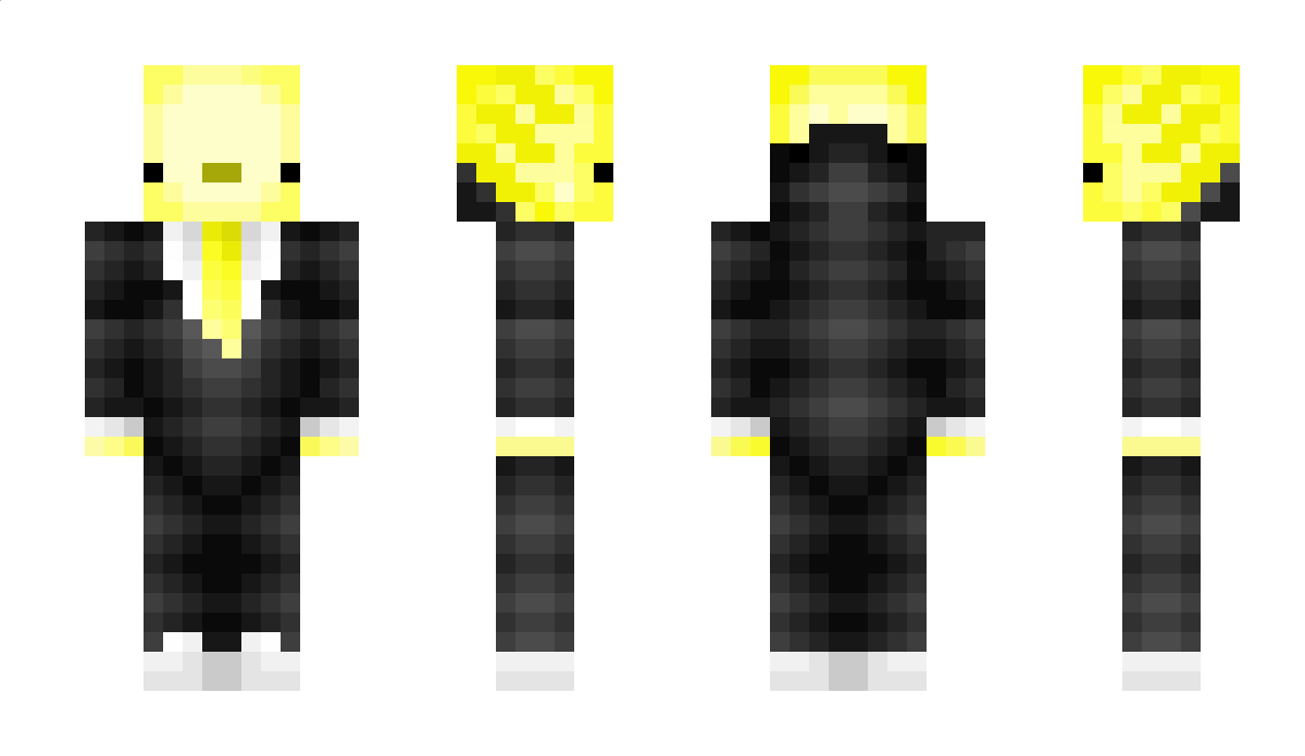 NDTV Minecraft Skin