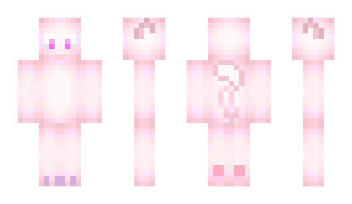 discipline Minecraft Skin