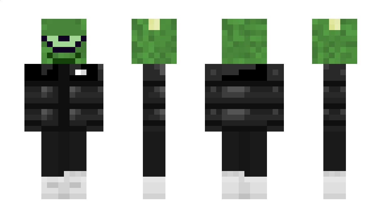 fallenfaddy Minecraft Skin