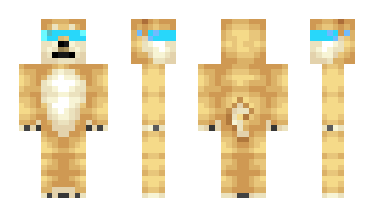 Noamyaron456 Minecraft Skin