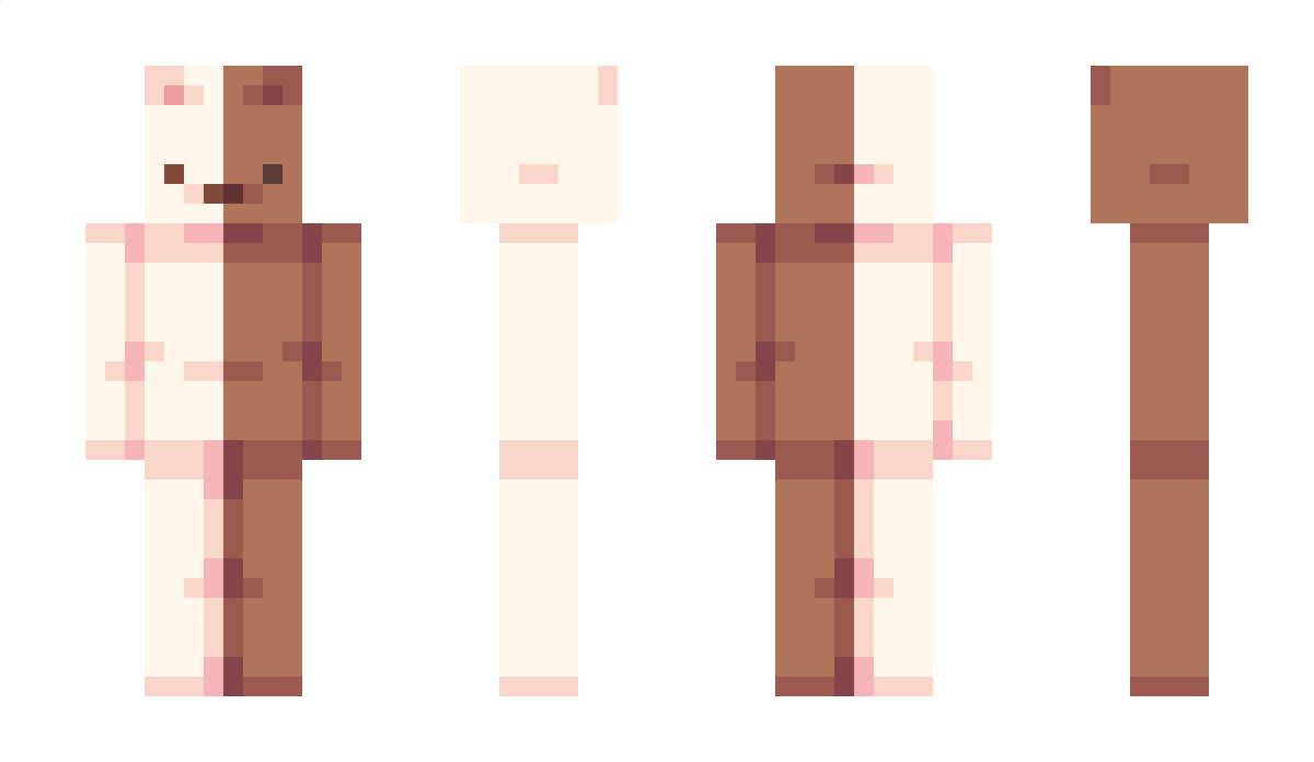 Adapted Minecraft Skin