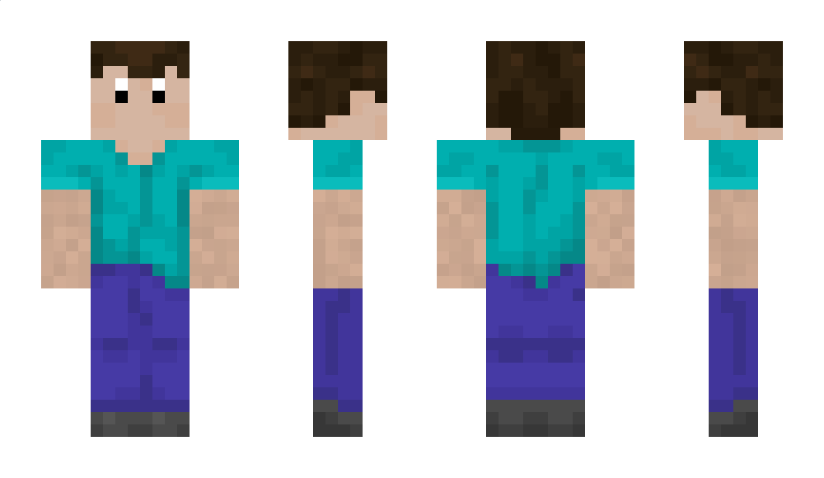 Moleeen Minecraft Skin