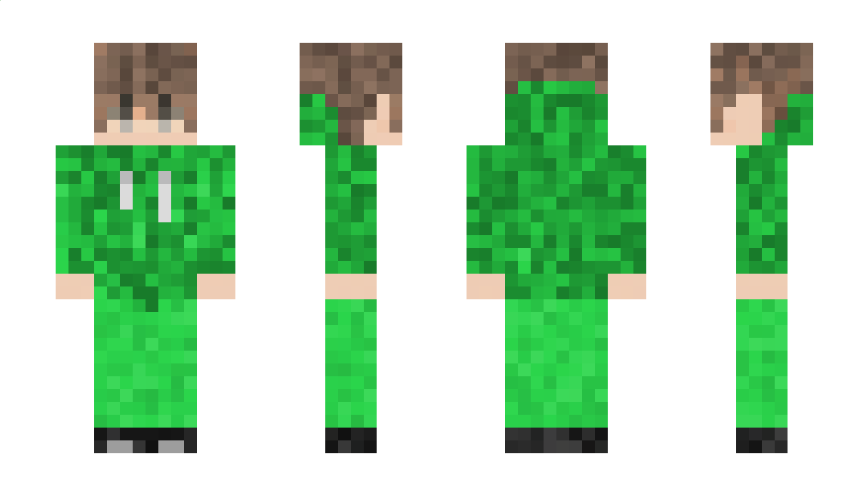 nic1234ash Minecraft Skin