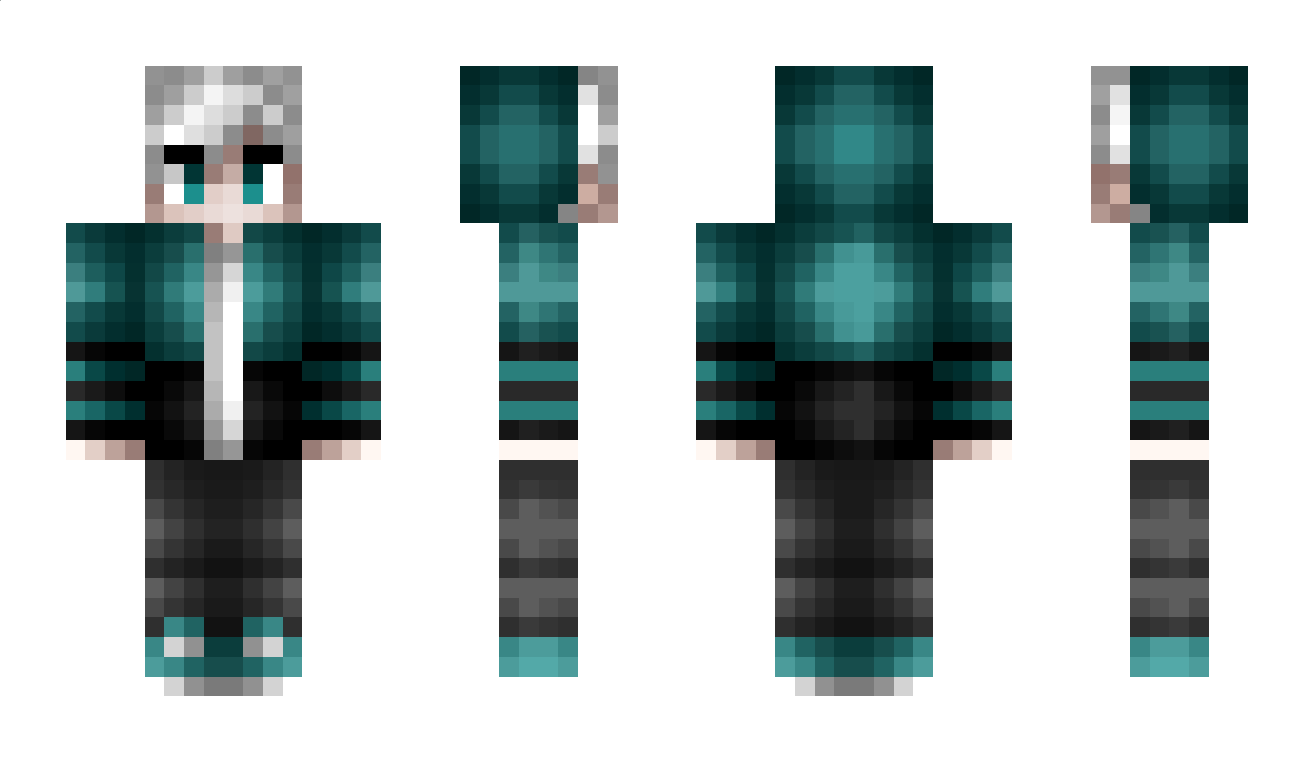 blizzard_YT Minecraft Skin