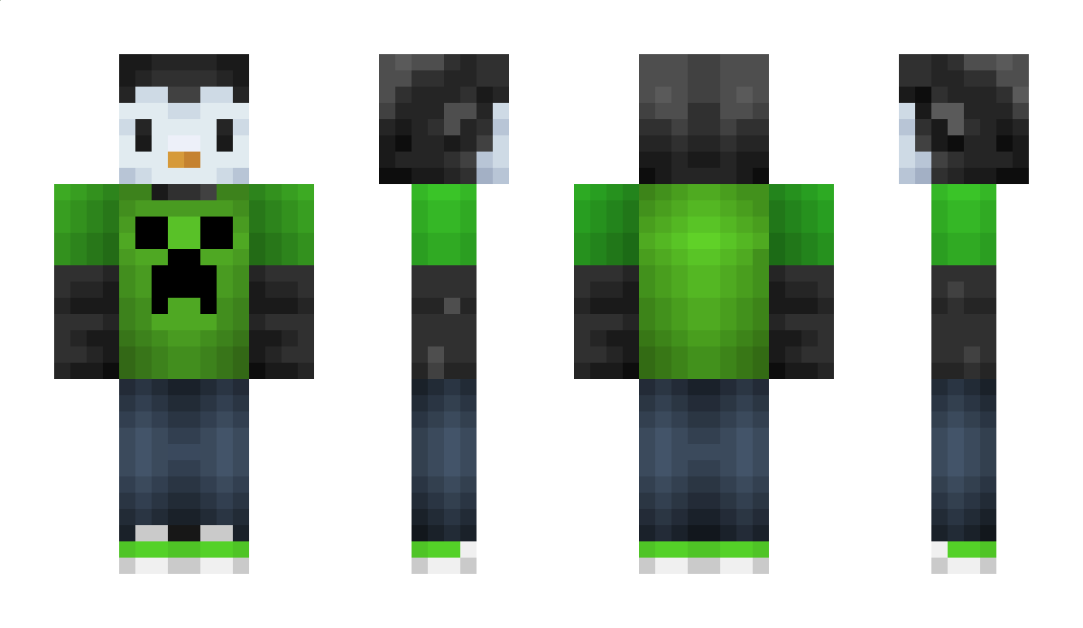 Pingwinek8102 Minecraft Skin