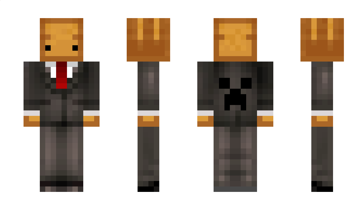 mysticryptic Minecraft Skin