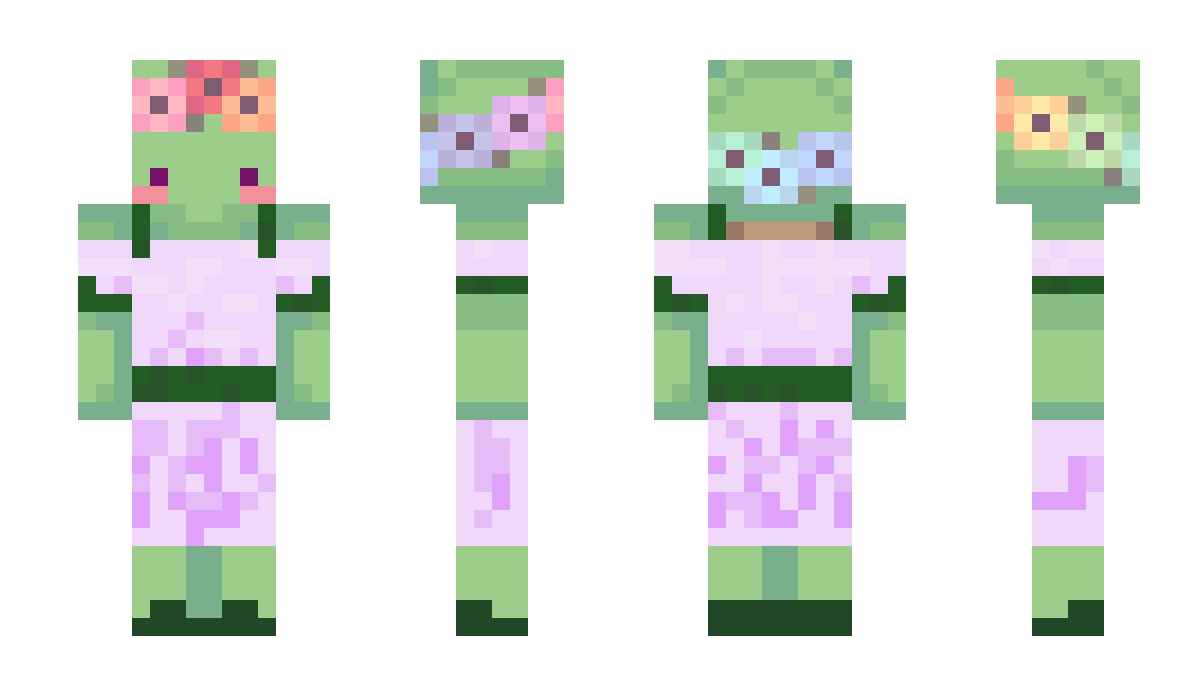 smallestturtle Minecraft Skin