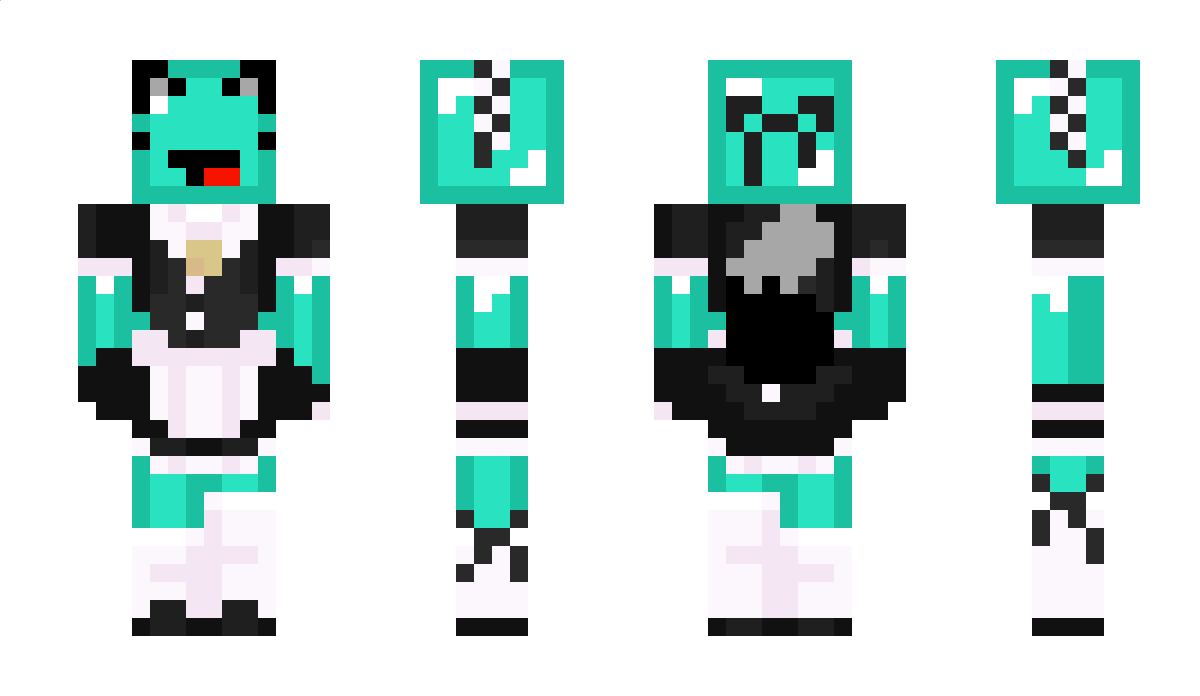 wojtekbojtek123 Minecraft Skin