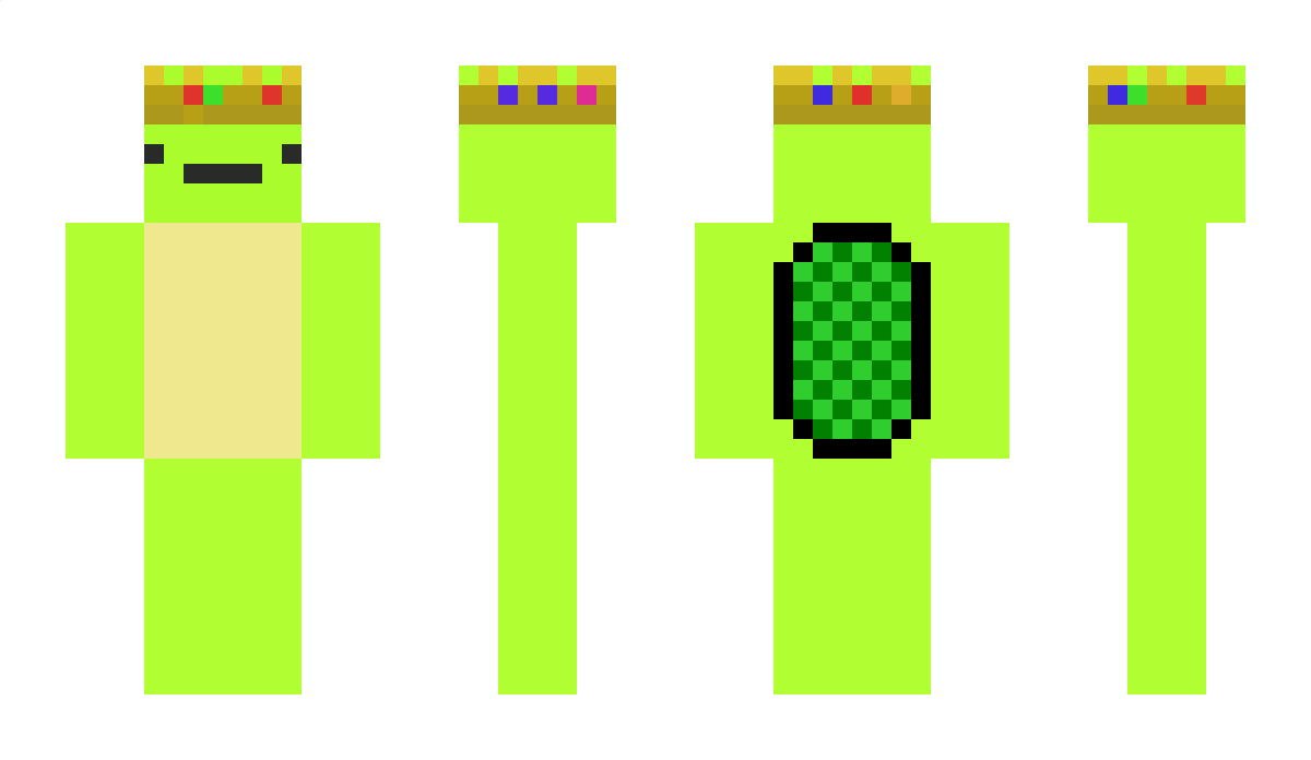 Turtlez_2011 Minecraft Skin