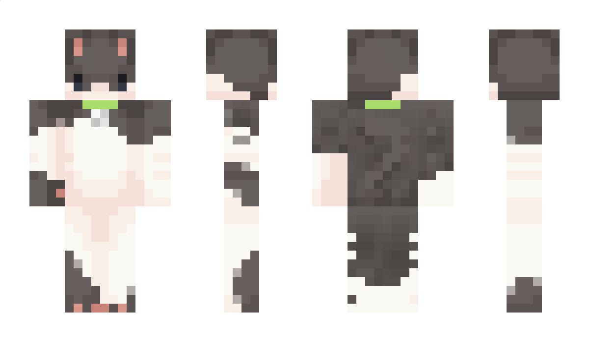 Panke1ks Minecraft Skin