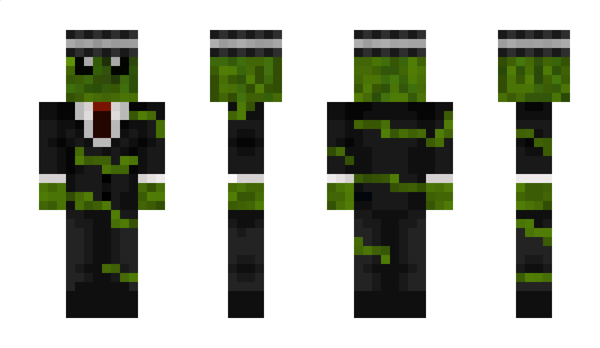 SkeletonToucher Minecraft Skin