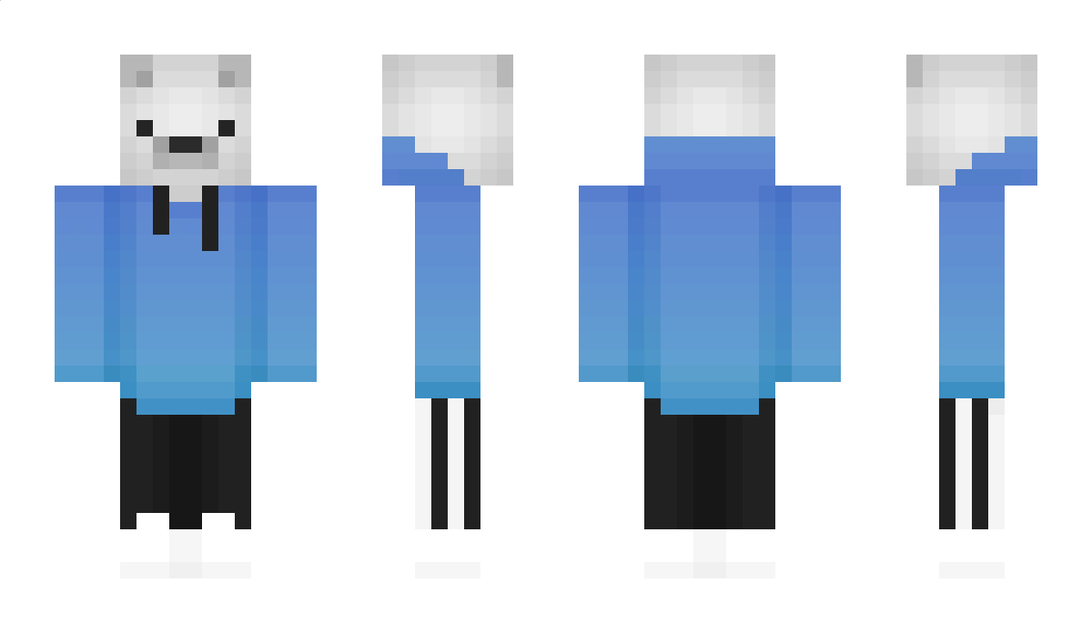 palikkane0 Minecraft Skin