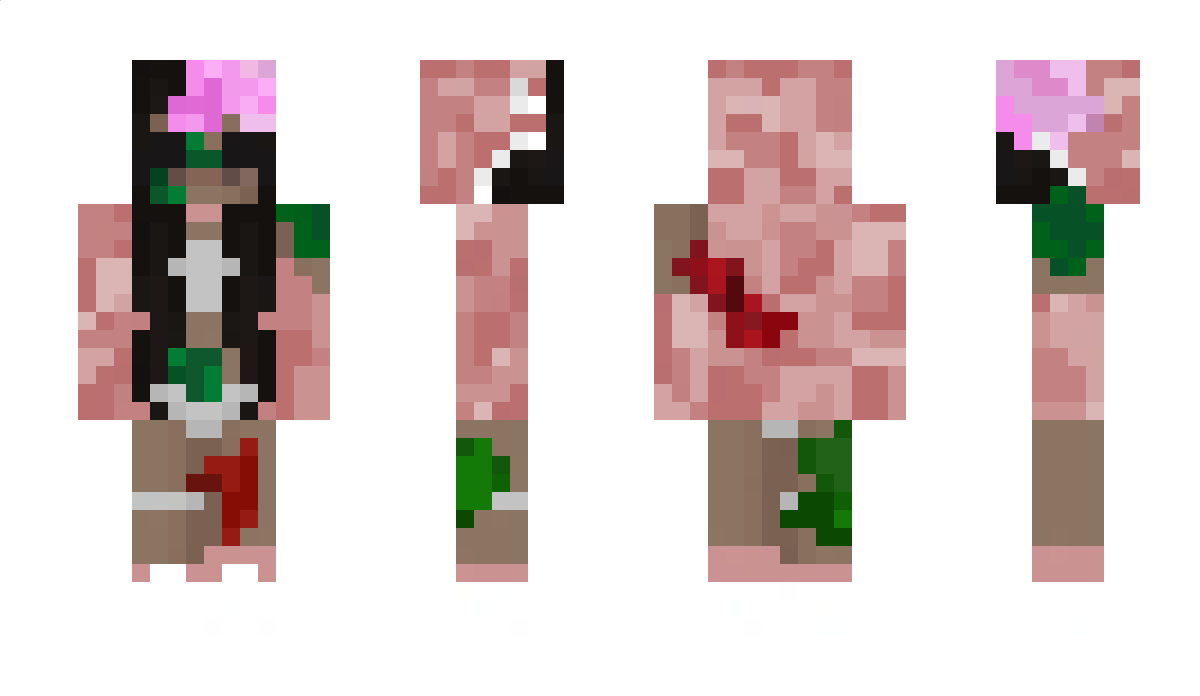 __AUR0RA__ Minecraft Skin