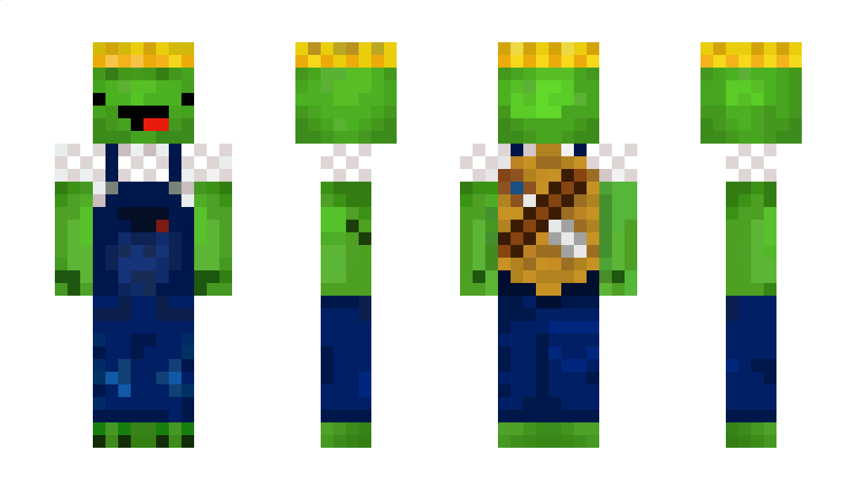 RedTurtle Minecraft Skin