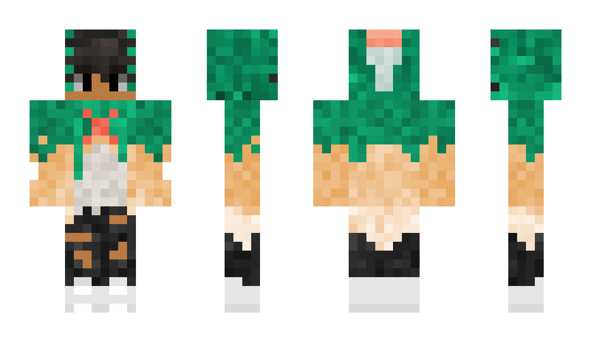 Toddyzin009 Minecraft Skin