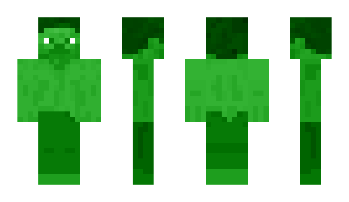 EyeToy Minecraft Skin