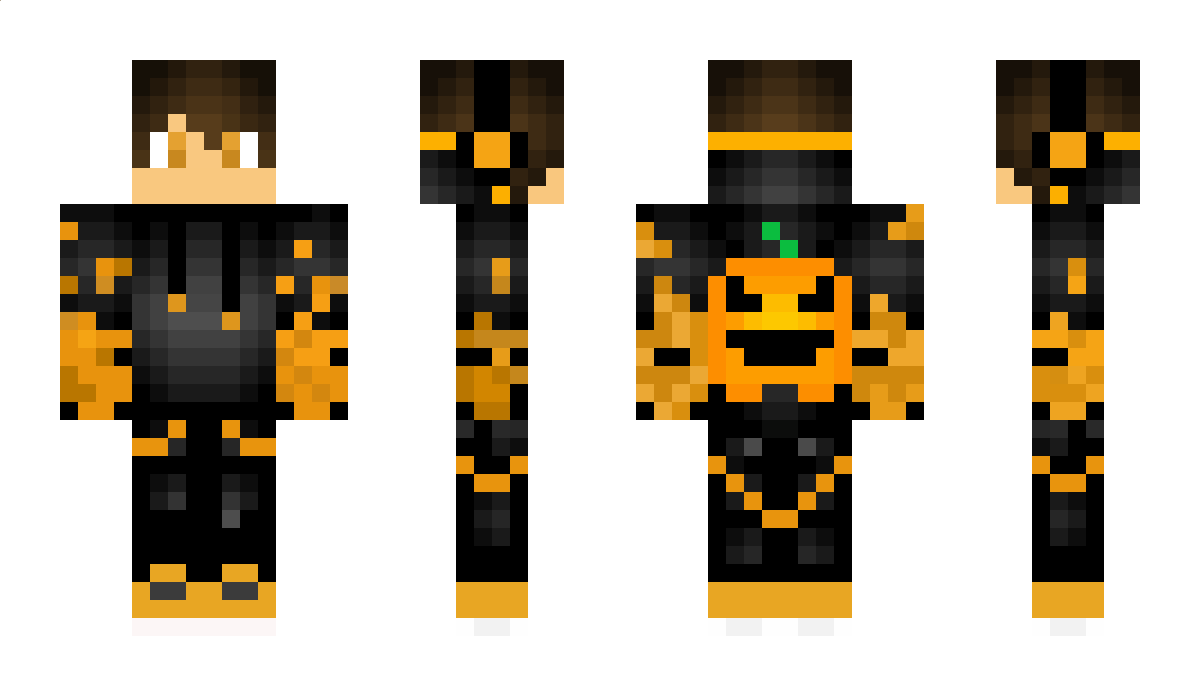 Coatimundi Minecraft Skin