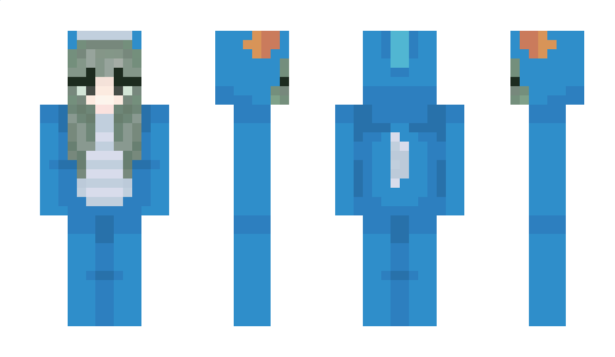 TeamAqua Minecraft Skin