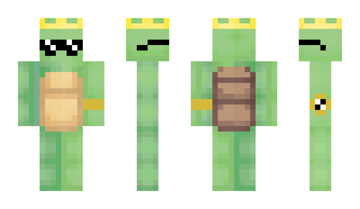 TheTurtleMater23 Minecraft Skin