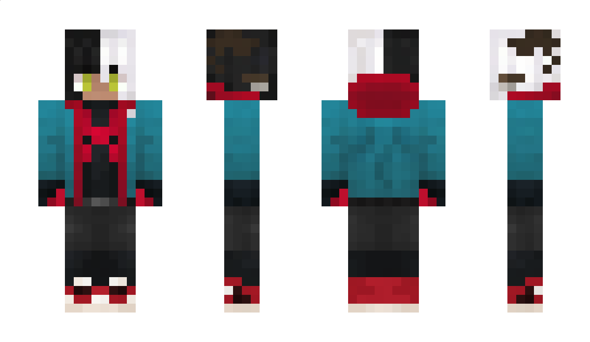 SpideerDudu Minecraft Skin