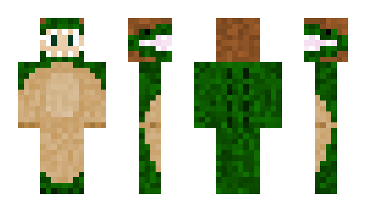 Gatorlion Minecraft Skin