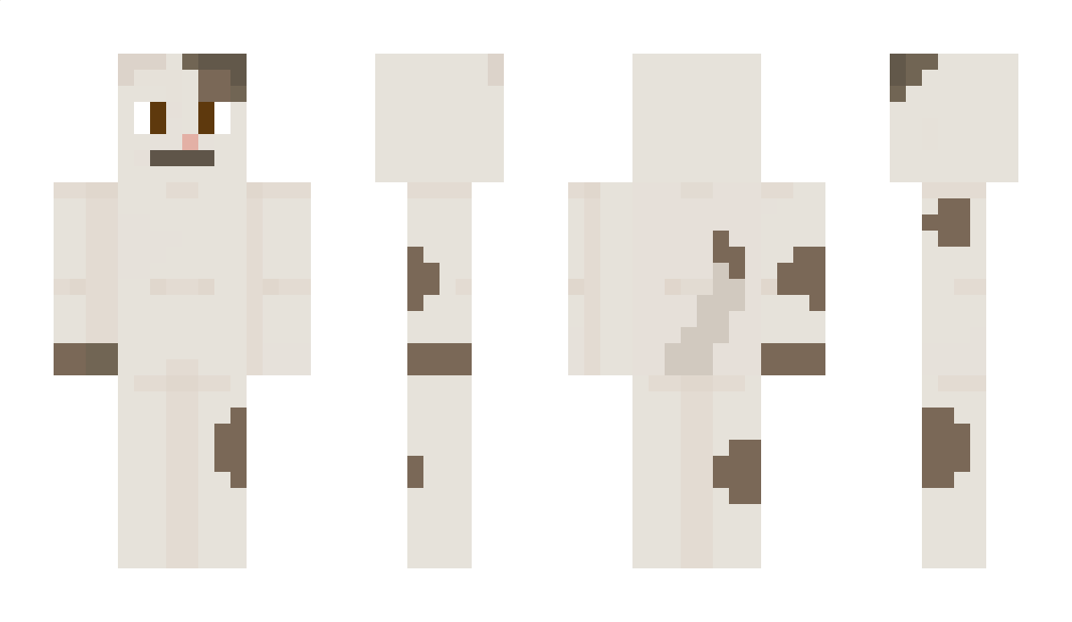 Adi2013Adi2 Minecraft Skin