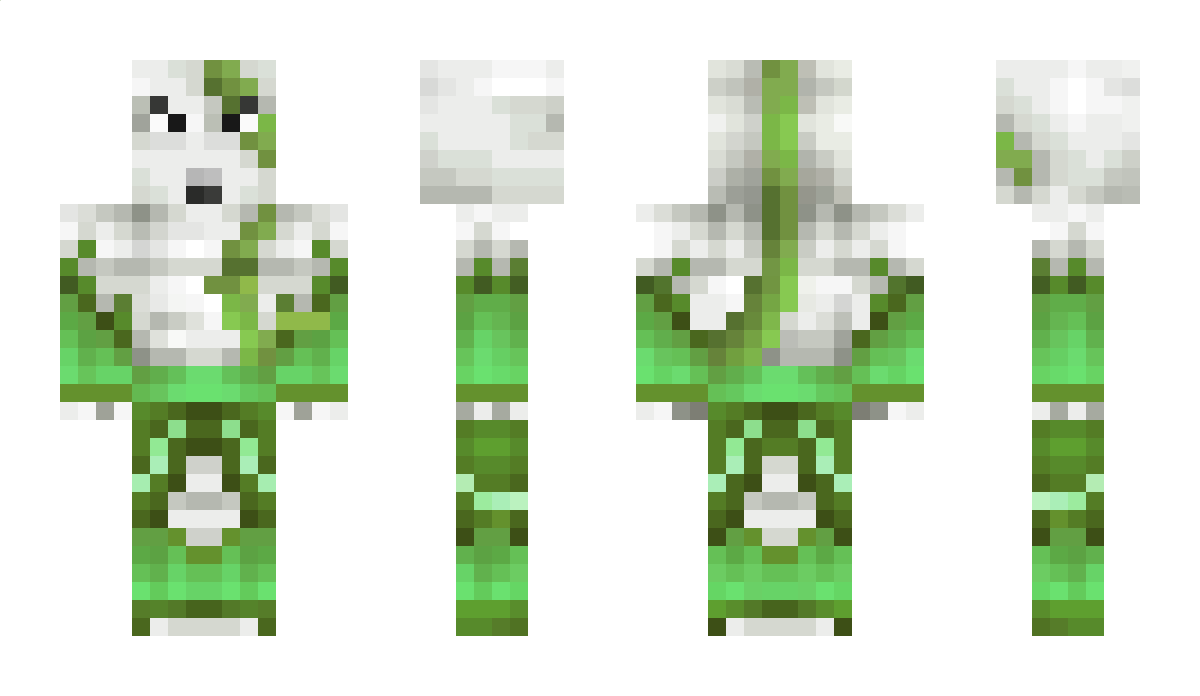 CraftEnteGHG Minecraft Skin