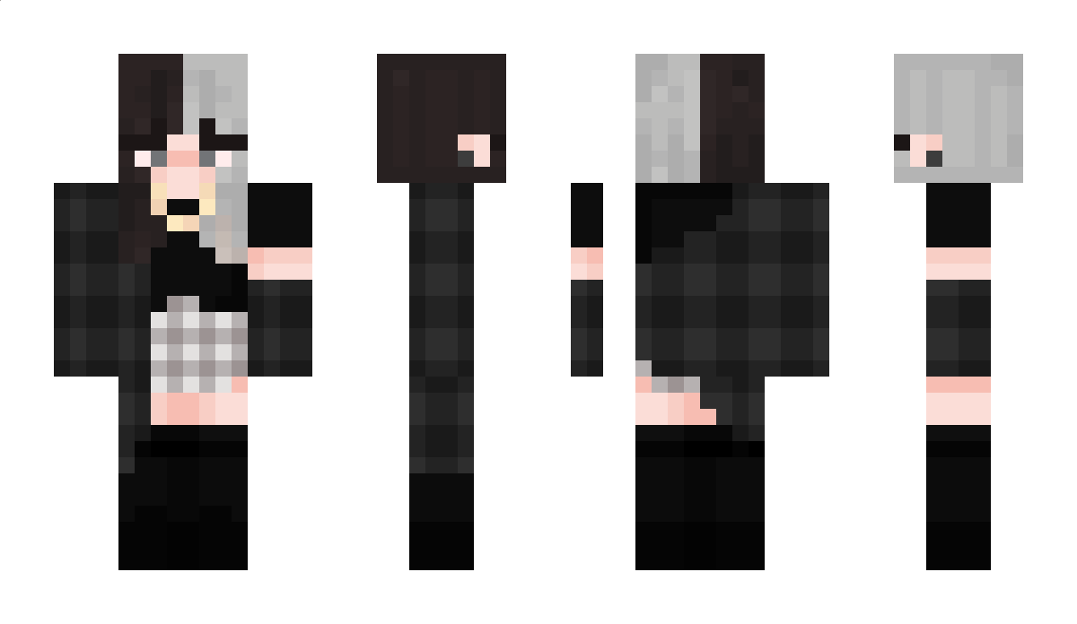 SW_Looser_HD Minecraft Skin