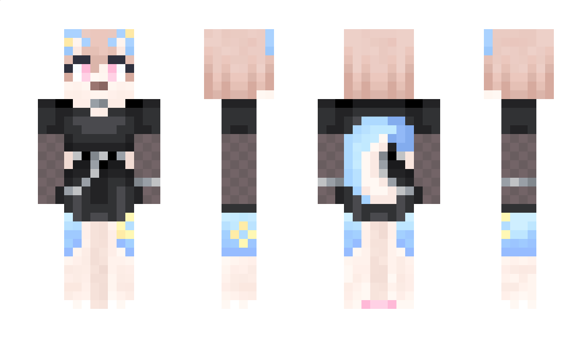 polonya Minecraft Skin