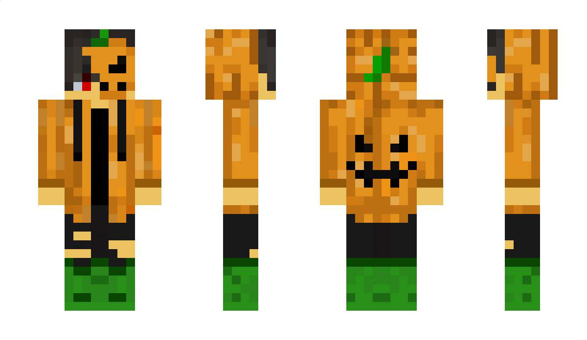 tomteniskogen Minecraft Skin