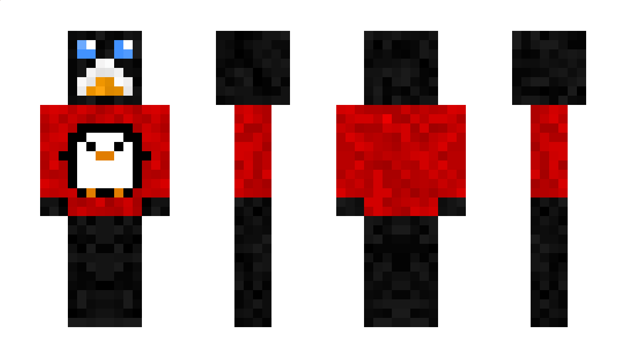 pungwinus_PL Minecraft Skin