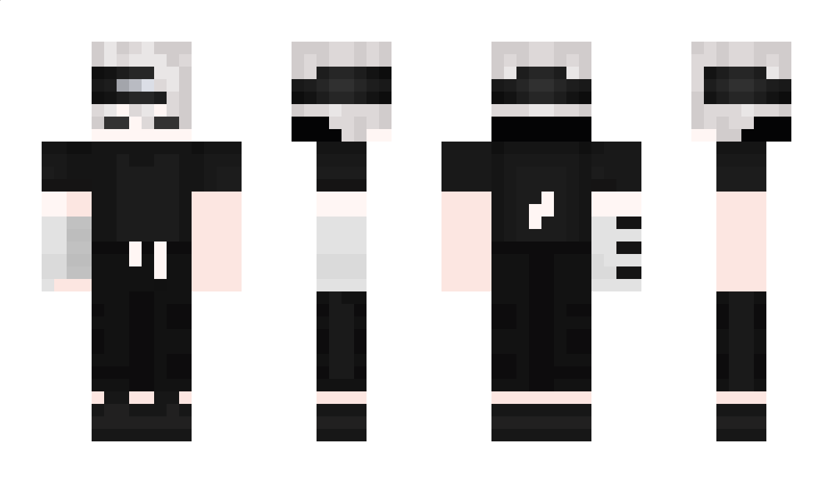 9x3 Minecraft Skin