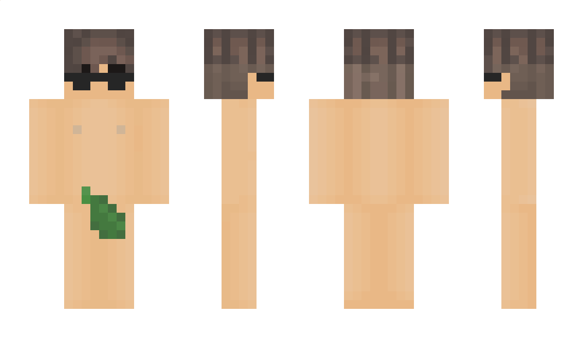 cacamourai1229 Minecraft Skin