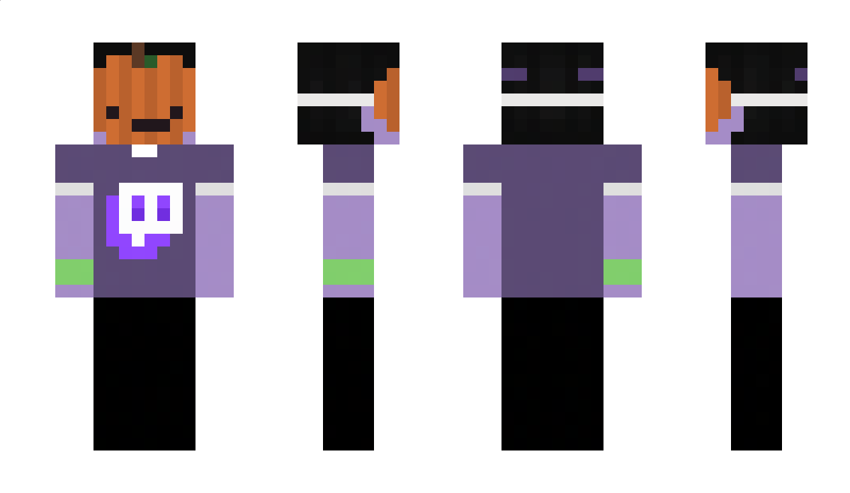 Schwaifu Minecraft Skin