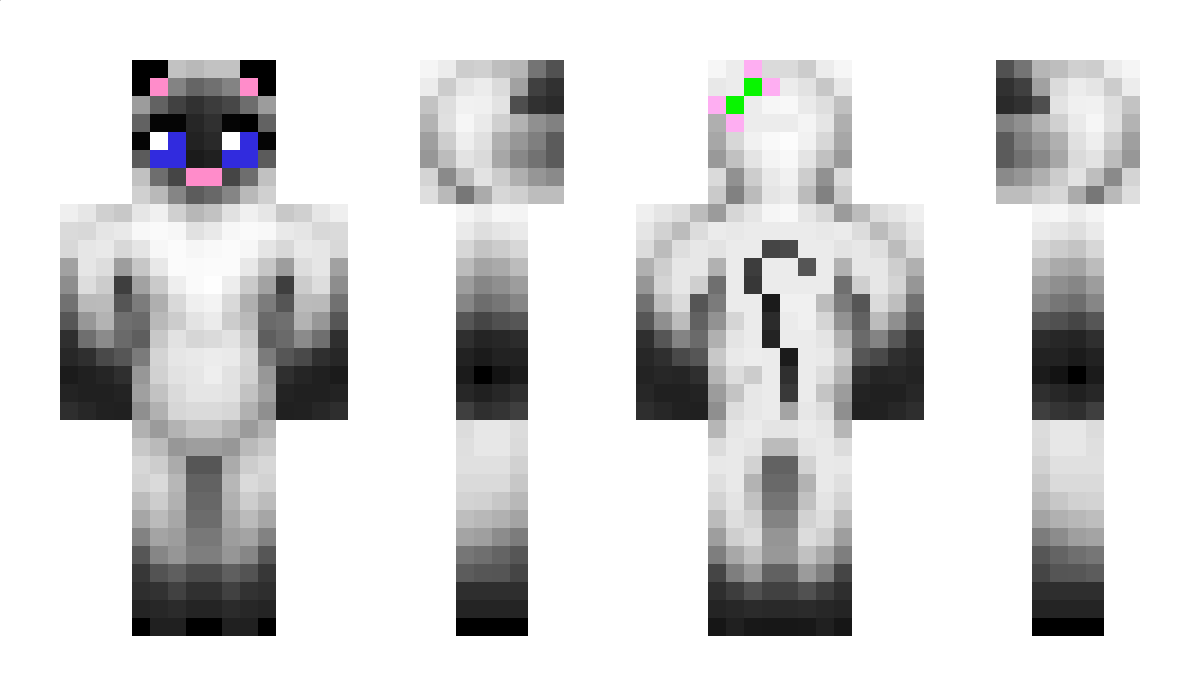 Reju Minecraft Skin