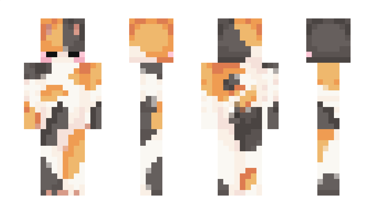 thingaMAJig14 Minecraft Skin