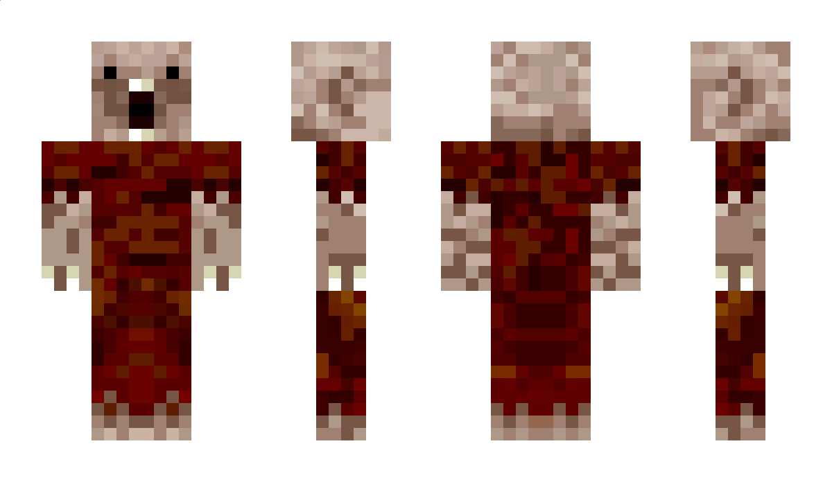 Reissuppe Minecraft Skin