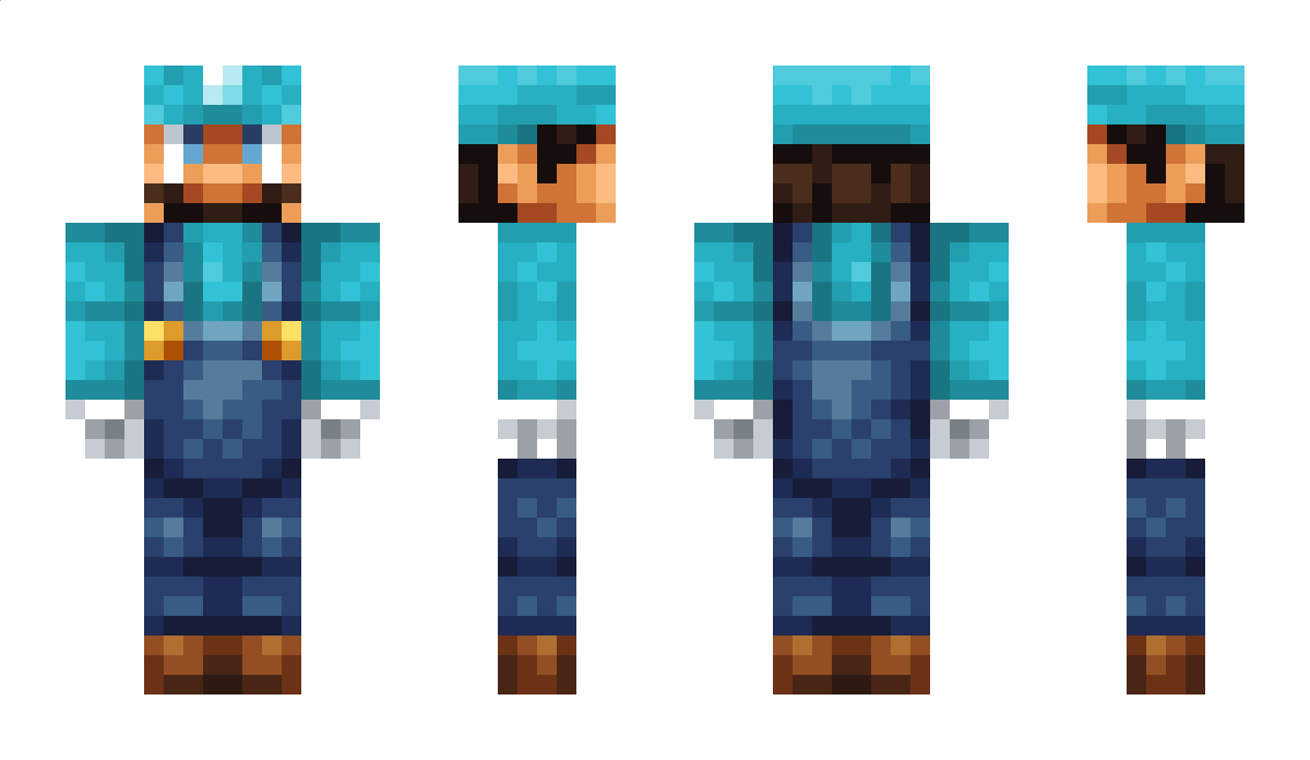 TMolter Minecraft Skin