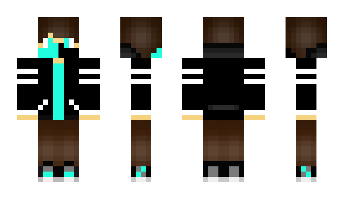 Olkshadow Minecraft Skin