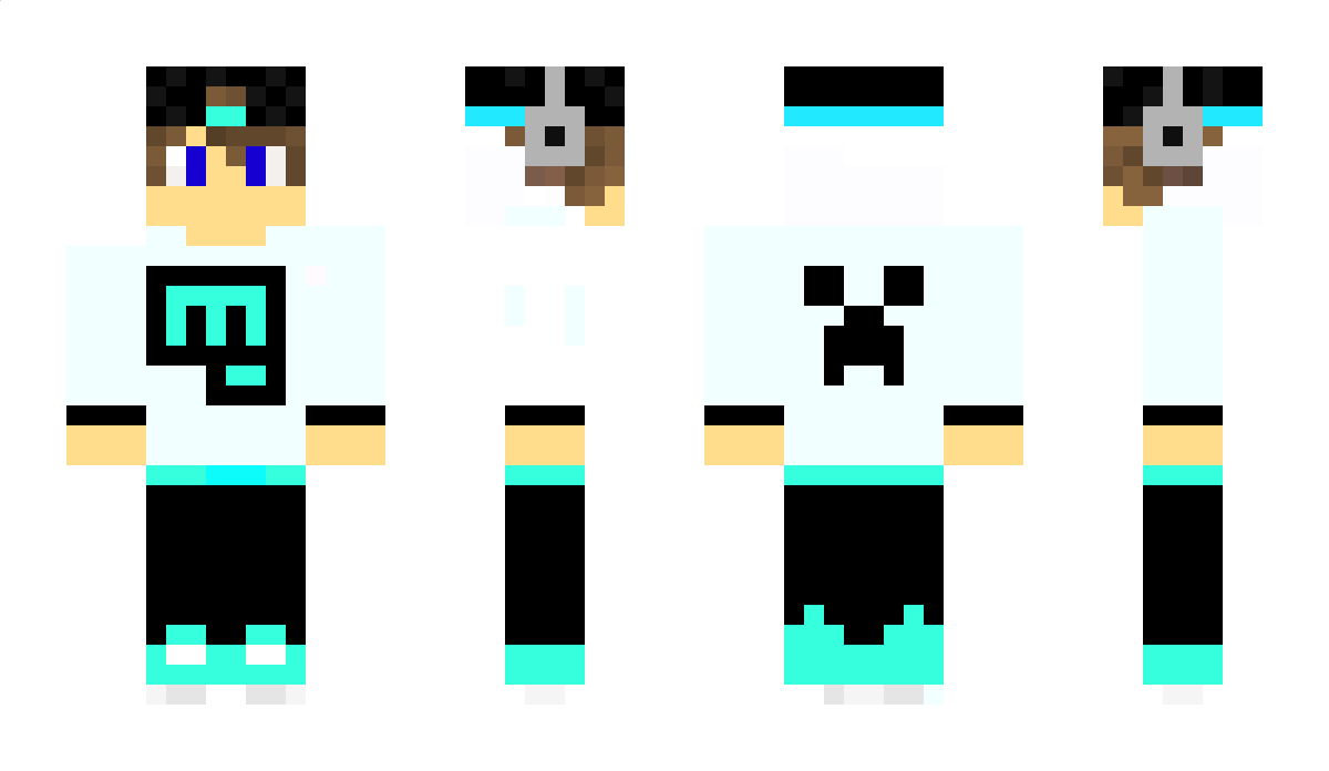 Ddidi Minecraft Skin