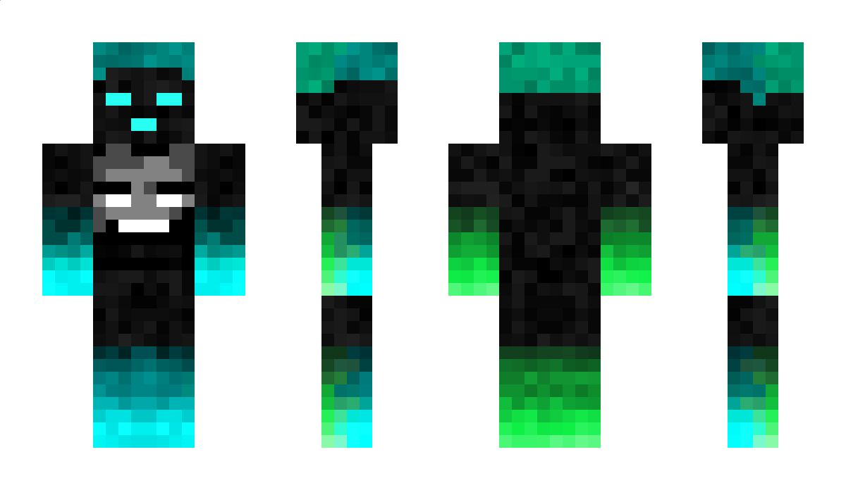 Lasselp6847 Minecraft Skin