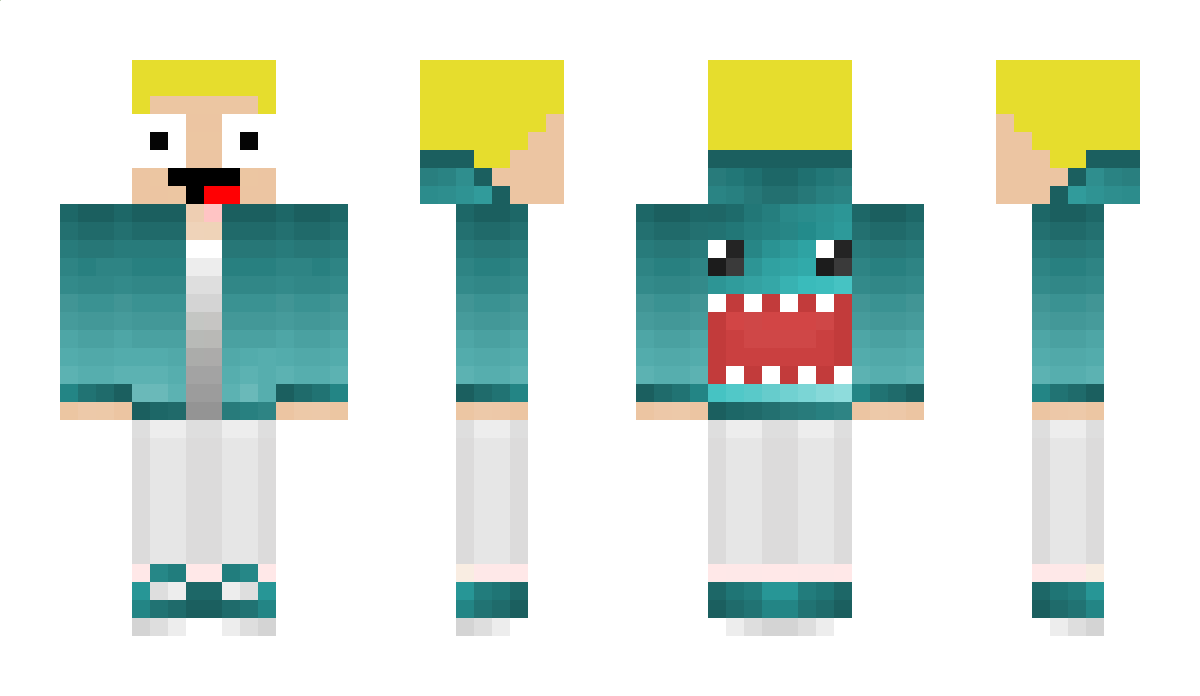 Basti0307 Minecraft Skin