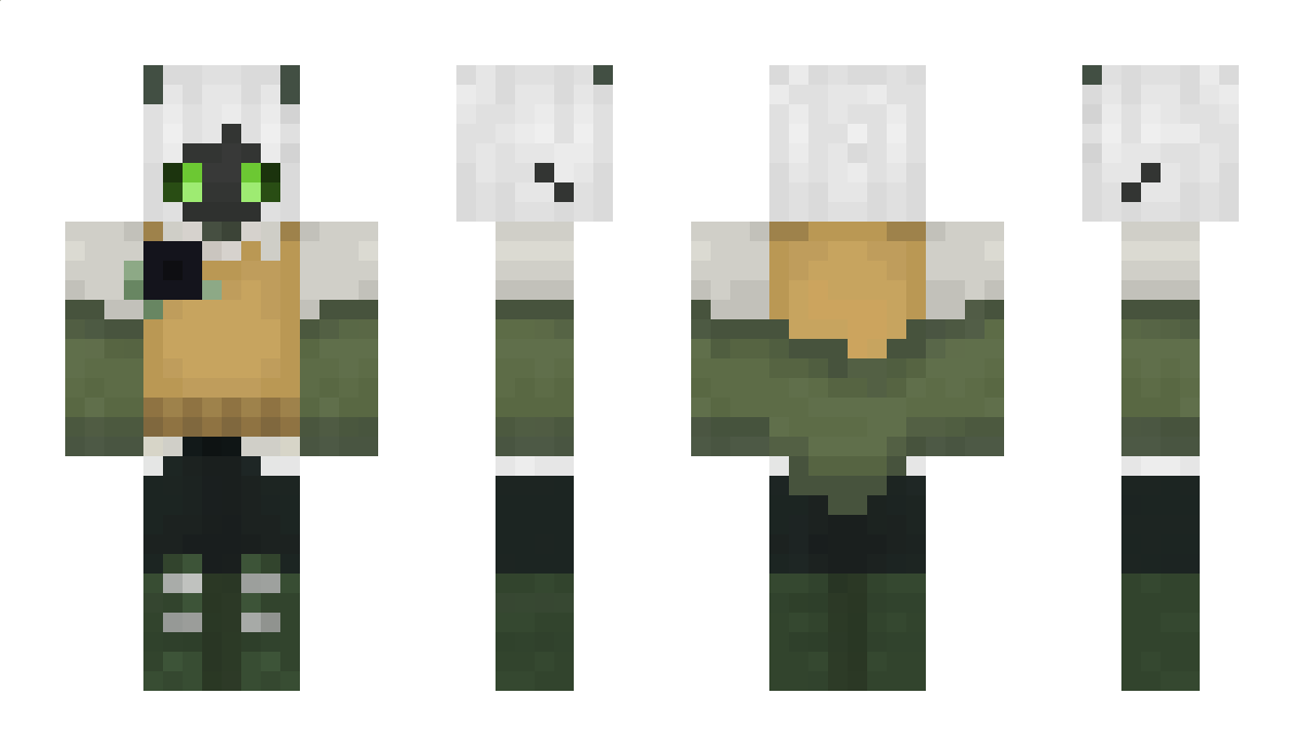 ferndragon64 Minecraft Skin