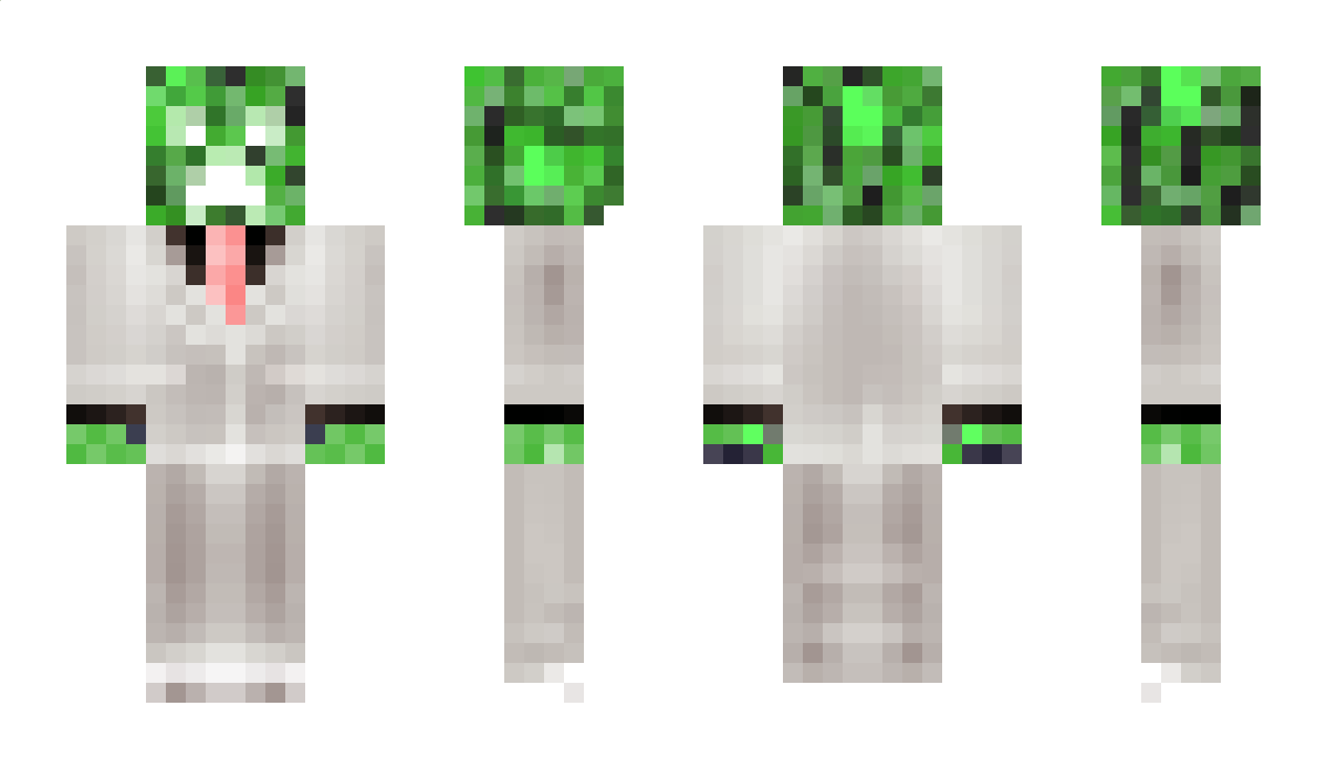 MythicalParrot Minecraft Skin