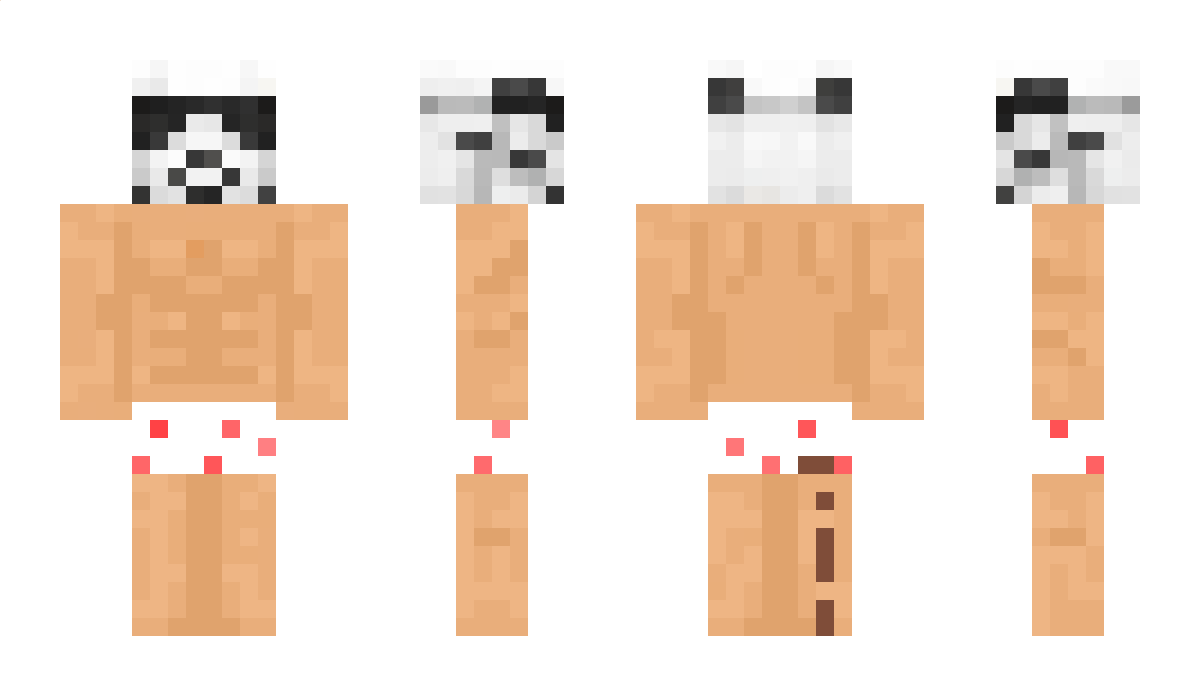 MrTheTerminal Minecraft Skin